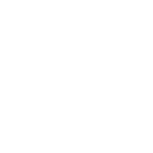 Genuine, no-fluff services by BinaryOnly, focusing on clear, effective, and results-driven solutions